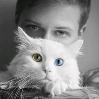 original sound - dar.man.s