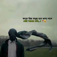 md.tohin290
