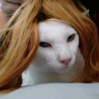 original sound - paicatlove....196