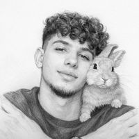 الصوت الأصلي