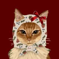 original sound - musichanges