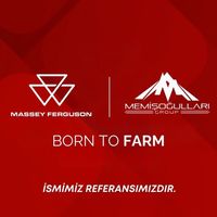 memisogullari_masseyferg