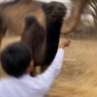 الصوت الأصلي
