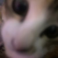 เสียงต้นฉบับ - evo