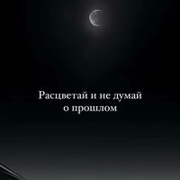 ahmedovw.1