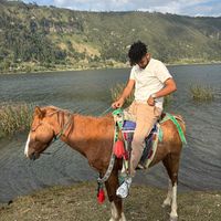 nardos_et