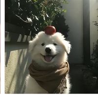 kat636956