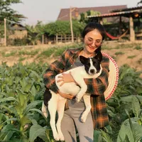 original sound - luk_walai