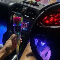 _bbyface_rohit_ana_