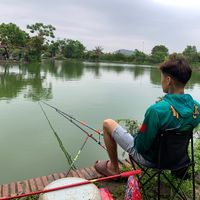 nhạc nền - HiỆp Đang Tập Câu 🐠
