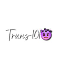 trans101.bvdboy