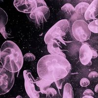 オリジナル楽曲 - 怜楽💗