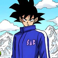 supersaiyajinka