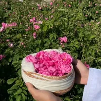 اللهم طهر صباحنا من الهم