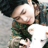 suara asli - Meelove