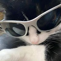 suara asli - gxzz¿