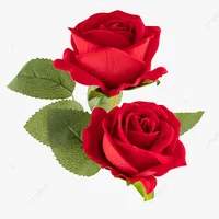 original sound - sce_ne_ry