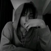 xo.cats__