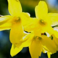 오리지널 사운드 - 서브폰