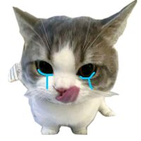 l.xxxyyy
