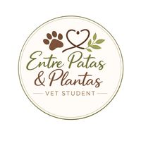 entrepataseplantas