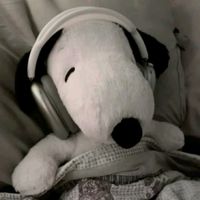 valentina.d.z.x.s202411