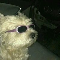 오리지널 사운드 - ISTP