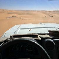 ali360294
