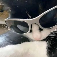 original sound - Xel