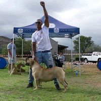 rainaisanceboerboels