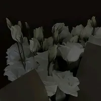 original sound - tuahainilsufi