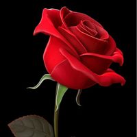 my_soul212