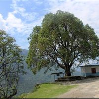 original sound - लोक चौतारी  🌳