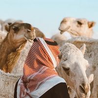 الصوت الأصلي