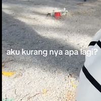 suara asli - 0%energy