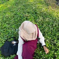 lutfhasyh