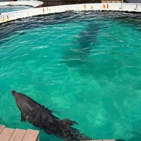 オリジナル楽曲 - みな