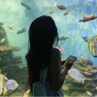 nhạc nền - Nuhi🌷