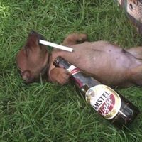 оригинальный звук