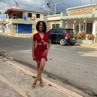 rosa_flor3102