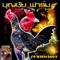 bunchai_farm