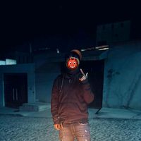 drago_nmx