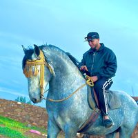 toufik.346