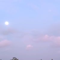 nhạc nền - hiểu và thương