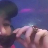 الصوت الأصلي