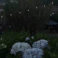 nhạc nền - Em Bé Hay Ẹo 🐾