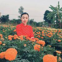 nhạc nền - Huỳnh thị chánh ngọc