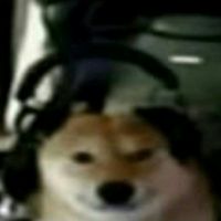 vdkalo