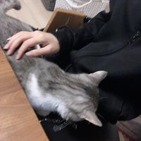 _ullxo2