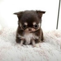 nhạc nền - 🔆xò chám nhất hl🐻‍❄️